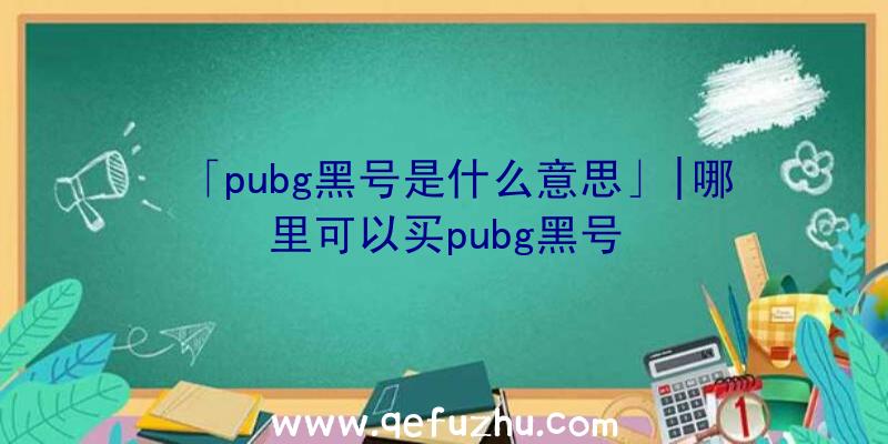 「pubg黑号是什么意思」|哪里可以买pubg黑号